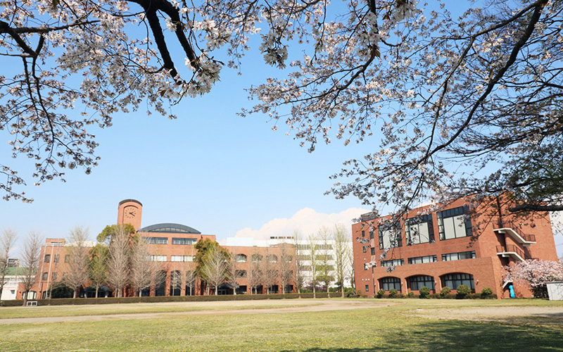 愛国学園大学