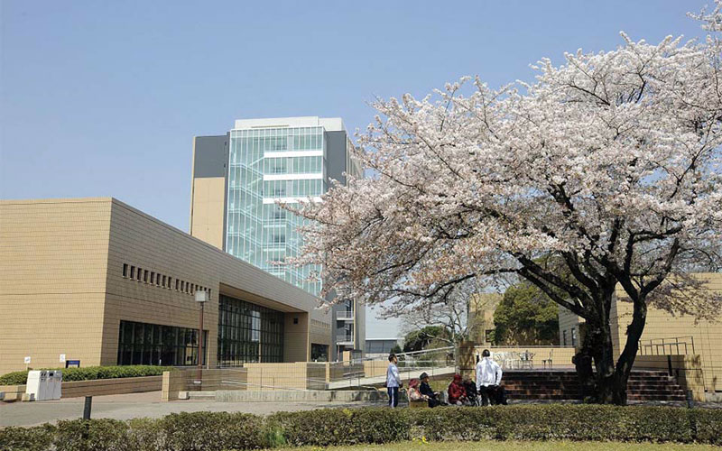 淑徳大学