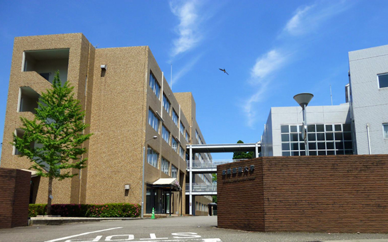 宮崎国際大学